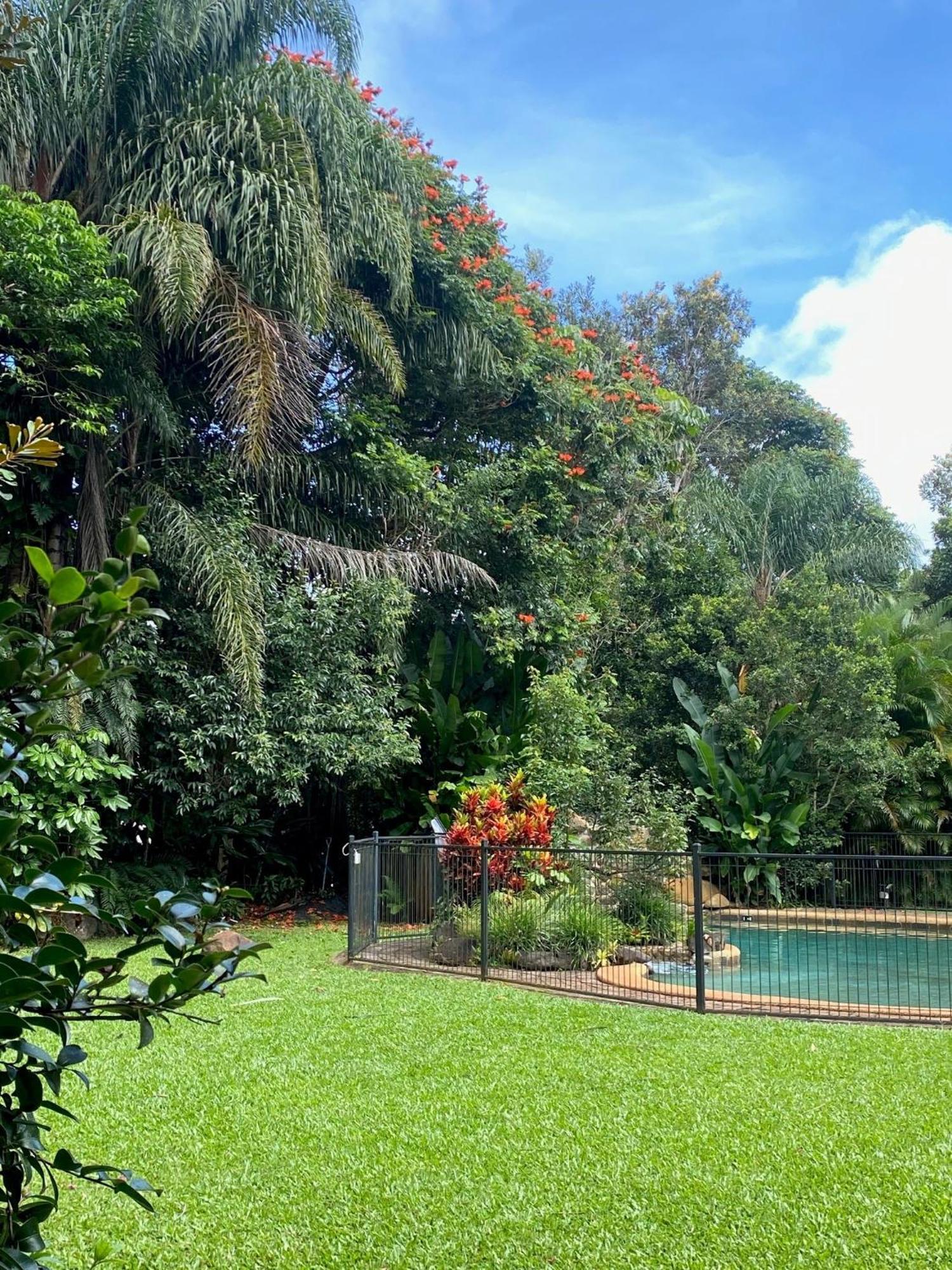 Malanda Lodge Ngoại thất bức ảnh